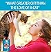 NatulabUSA - Hemp Oil For Pets - Cats & Dogs – Fast Results - Pet Anxiety & Stress Relief Serum - Pet Arthritis & Joint Health – APPLY TO FOOD - Separation Anxiety Relief - Pure Hemp Seed Oil