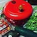 Red Salad Spinner (Small), Apple-Shaped, 3 Quart by Beautiful Life