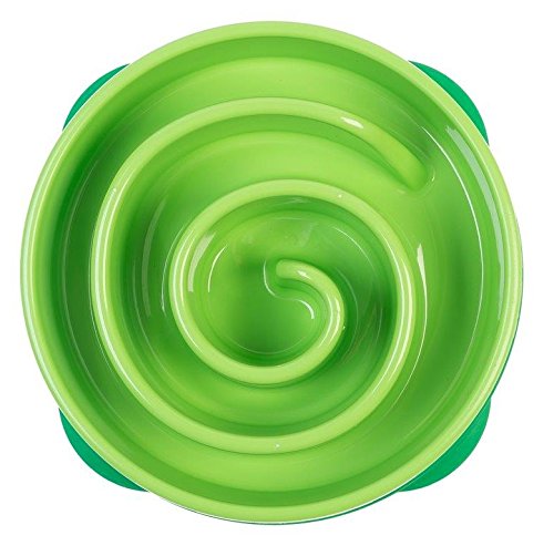 Outward Hound Interactive Slow Bowl Bloat Preventing Feeder Coral Design, Small, Green