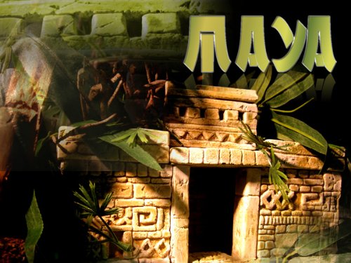 Ditao Bios Maya Terrarium Set, Splash-Proof, Grey Hard Plaster, Terrarium Set, Reptile, Amphibian