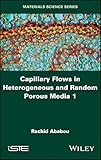 Capillary Flows in Heterogeneous and Random Porous Media