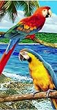 Parrot Jungle Towel Zoo Amazon in Paradiser Beach Towel 6043