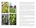 Veg Patch: River Cottage Handbook No.4