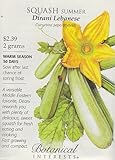 Dirani Lebanese Summer Squash Seeds - 2 grams - Botanical Interests