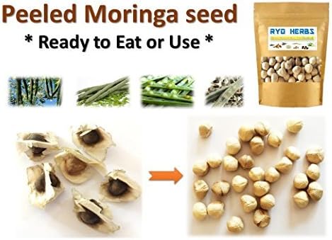 1,000 Seeds of Peeled Dried Moringa Oleifera Seeds Herbal Herb Dietary Supplement - Ready Easy to Eat