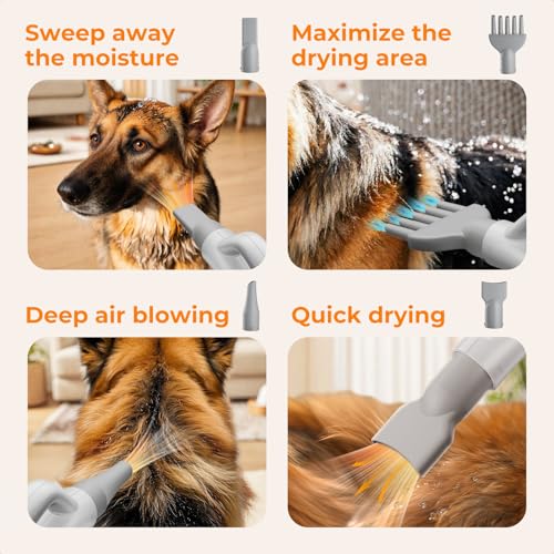 Pecute Poodle Dog Pulser with Hot and Cold Cycle Modes, Dog Hair Dryer, Professional Dog Blower, Adjustable Speed and Temperature, 4 Nozzles