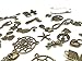 100g Mixed Charms Pendants Assorted DIY Antique Bronze Charms Pendant for Crafting Bracelet Necklace Jewelry Findings Jewelry Making Accessory (Bronze)