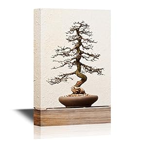 Bonsai Canvas Wall Art - Exotic Style Bonsai Art - Gallery Wrap Modern Home Art | Ready to Hang - 12x18 inches
