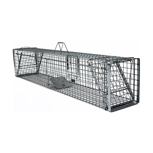 Holtaz Hardy Super Starke Falle Marderfalle Katzenfalle Fuchsfalle Biberfalle Tierfalle Kastenfalle Drahtfalle WaschbÃ¤rfalle 2 TÃ¼ren, GrÃ¶Ãe: 180x34x34 cm Mit Extra KÃ¶der