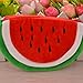 HYJM Creative Fruit Lovely Cartoon Watermelon Coin Bag Purse Wallet (L, Red)