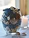 L&M Naturals Beachfront Potpourri~ Beautiful Natural Botanicals Fragrance with a Fresh Relaxing Scent ~ Made in USA.