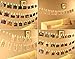 MESUNKA LED Photo String Lights, 40 LED Photo Clips String Lights (16.4 ft), Battery Powered for Home Party Decor, Hanging Picture Frame for Party Wedding Dorm Bedroom Birthday Christmas Decorations