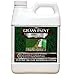EnviroColor 4EG0032 851612002100 1,000 Sq. Ft. 4EverGreen Grass and Turf Paint, 1250 Square Feet, Green primary
