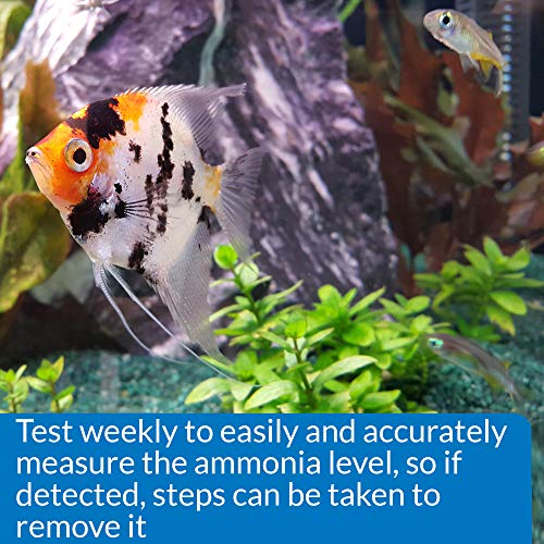 4 API+130+Test+Freshwater+Saltwater+Aquarium