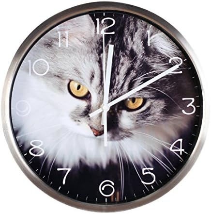 Luckly candy Cute Cat theme Background Super Silent Wall Clock Quiet Sweep Decorative Clocks (12Inch, Silver3)