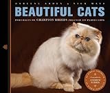 Beautiful Cats by 