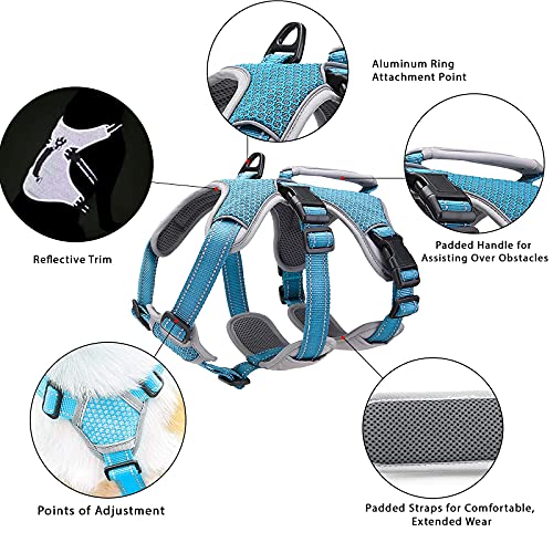 BELPRO MultiUse Support Dog Harness, Escape Proof No Pull Reflective