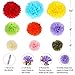 43PCS Fiesta Party Cinco de Mayo Party Decorations Set Mexican Party Birthday Party Supply Colorful Tissue Pom Poms Hanging Paper Fans Banner