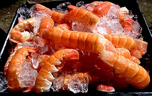 Einvígið 997922147X Book Cover