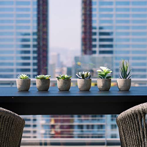 5 Artificial Succulents Plants Artificial Pot Small Fake Plants Bedroom