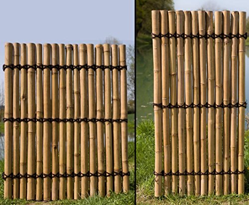 Bambus Sichtschutzzaun Bambuswand starr Apas4 150 x 120cm aus dicken gelblichen Bambusrohren mit 7-9cm Durchmesser – Bild 3