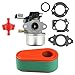 Harbot 591137 590948 Carburetor with Air Fuel Filter for Briggs and Stratton 111P02 111P07 114P02 775EX Lawn Mower 795066 796254 primary