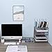 EasyPAG Desk Organizer Stacking Double Trays with Sliding Drawer 5 Upright Sections Paper Folder Binder Letter Holder Office Storage,Silver