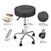 ELECWISH Home Office Adjustable Rolling Medical Massage Swivel Stool Chair Tattoo Facial Massage Salon Stools (Grey)