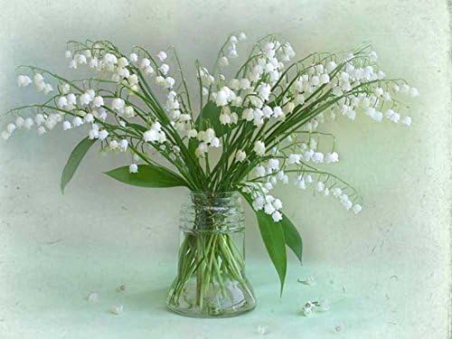 Lily Of The Valley For Katica (Crozg) -Oil Painting On Canvas Modern Wall Art Pictures For Home Decoration Wooden Framed (20x16 Inch, Framed)