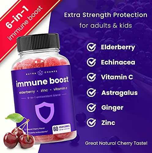 Immune Support Gummies | Powerful Blend of Elderberry, Vitamin C, Zinc ...