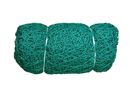 easyshoppingbazaar Nylon Anti Bird and Monkey Protection Net with 2mm Thicknes Strong Strings (10x20ft, Green)