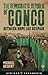 The Democratic Republic of Congo: Between Hope and Despair (African Arguments)