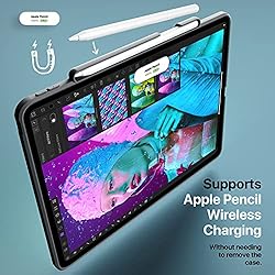 TineeOwl Glace iPad Pro 11 inch Case