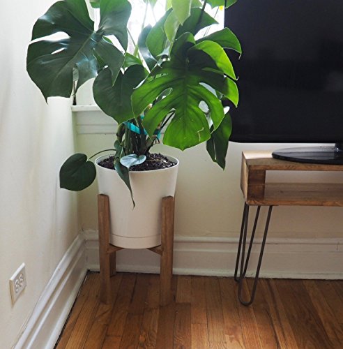 Mid Century Modern Plant Stand