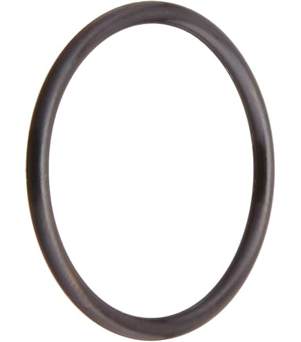 Tiki Island O-ring Di Ricambio Per Filtro Piscina Intex Modello 10325 - 3