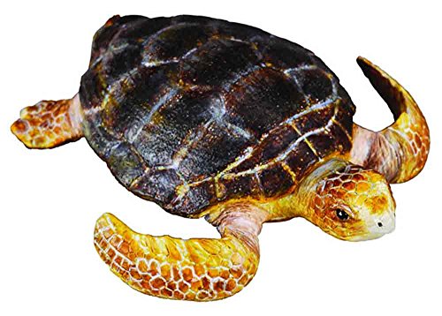 CollectA Sea Life Loggerhead Turtle Toy Figure - Authentic Hand Painted Model