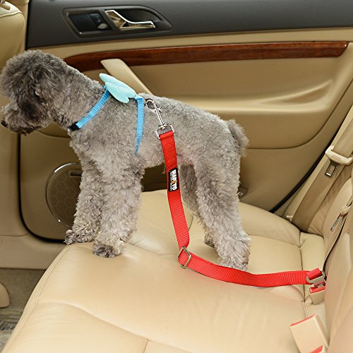 Hapito Pet Cat Dog Seat Belt, Adjustable (22 to 37 Inch) Genuine Nylon Safety Belt, Car Vehicle Seatbelt Harness Leash for Dogs Cats (Red) - Thumbnail 4