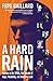 A Hard Rain: America in the 1960s, Our Decade of Hope, Possibility, and Innocence Lost by Frye Gaillard