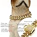 Designer Dog Collar Gold Metal Stainless Steel with Zirconia Lock 14mm 18K Gold Big Dog Luxury Training Collar Cuban Lock Link Necklace Chain(14 inch)