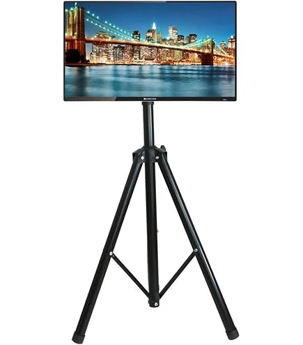AUDIO2000 's AST420Y Portable Flat panel TV/monitor supporto