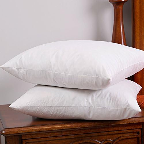 Feather and Down Throw Pillow Insert , Set of 2, 18x18 Inch, Pattern 4