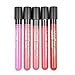 Chialstar Lip Gloss Stick Makeup Waterproof Velvet Matte 5 Full Color Lipstick and Chialstar Storage Bag (5pcs) by Chialstar