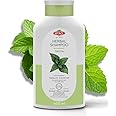 OTACI Oil Balancing Herbal Shampoo with Nettle Extract – Deep Cleansing, Oil Control & Scalp Health for Oily & Normal Hair – Vegan, Cruelty-Free, Paraben-Free Formula