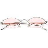 COASION Vintage Small Oval Aesthetic Sunglasses Retro for Women Men Hippie Cool Metal Frame Sun Glasses