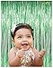 ShiDianYi Foil Fringe Curtain Streamer Backdrop Metallic Foil Curtain Tinsel Backdrop Christmas Photo Booth Props -1217S (3FTx8FT, Green)