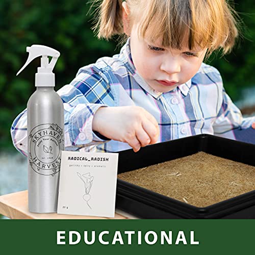 Skyhaven Harvest Hydroponic Microgreens Grow Kit Give The Gift of a