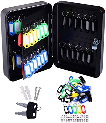 48 Hooks Wall Mounted Metal Key Box Cabinet with Tag Home Car Lock Storage-Black (48 Hooks)