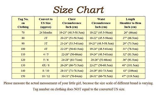 Dressy Daisy Girls' Princess Aurora Costume Princess Dress Halloween Fancy Dress Up Size 4T