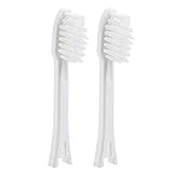 IONPA [Regular - White] Replacement Brush