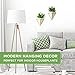 California Home Goods Modern Hanging Planter Pots (2-Pack), Small Decorative Wall Planters for Cactus Decor & Hanging Plants, Wall Hanging Ceramic Planter with Brass Wire Frame, White Plant Decor
